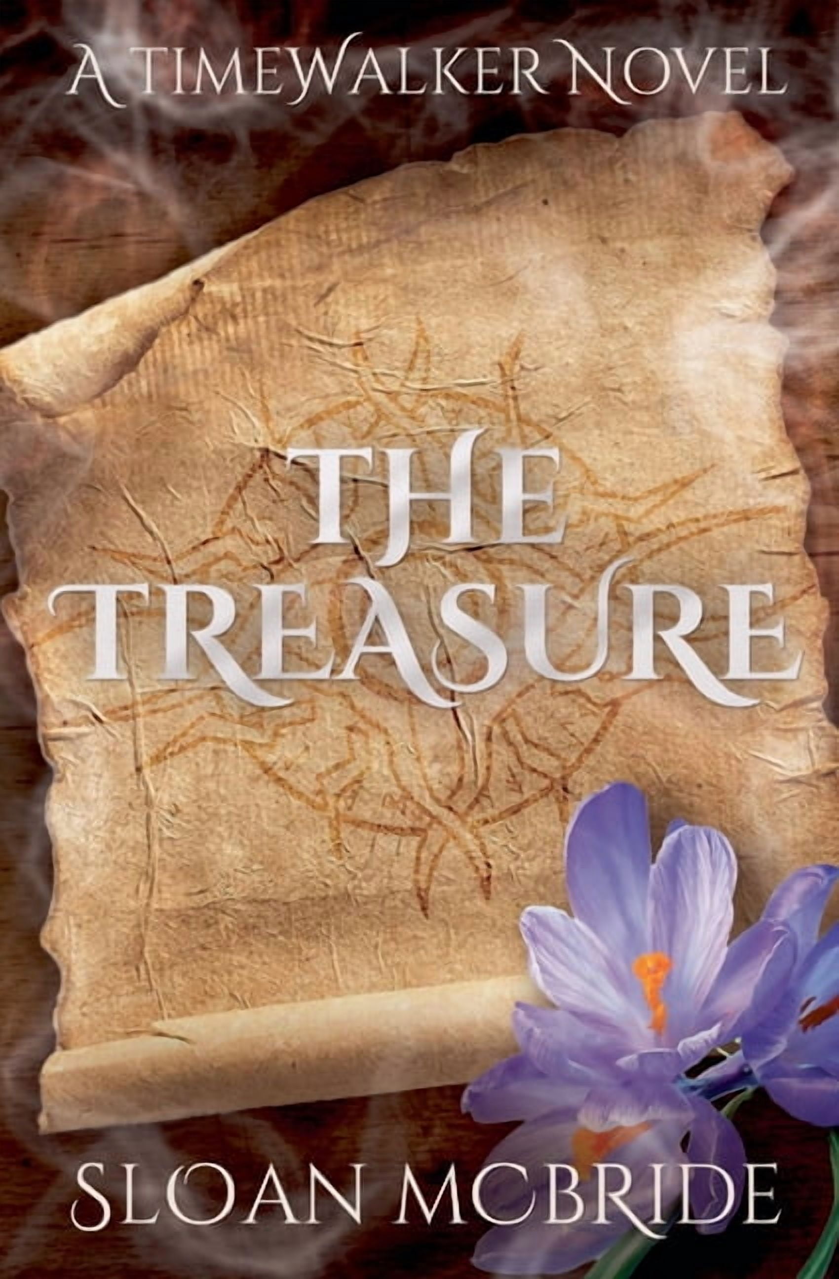 Time Walker The Treasure, Book 2, (Paperback)