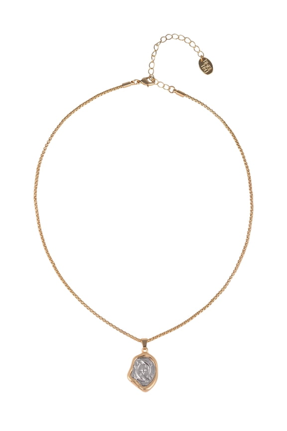 Goldtone SilvertoneReversible Pendant "Pisces" Necklace