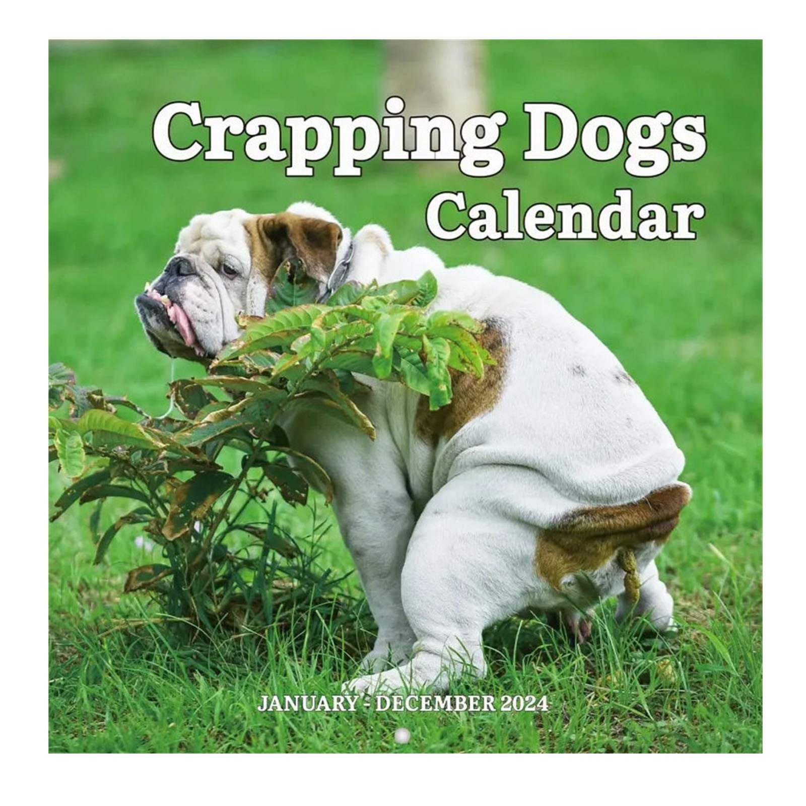 Dogs Pooping Calendar 2025