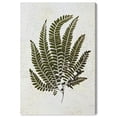 thumbnail image 1 of Time's Imprint I Canvas Print Botanical Wall Decor by Art Remedy, Gallery Wrapped, 16 x 24, 1 of 5
