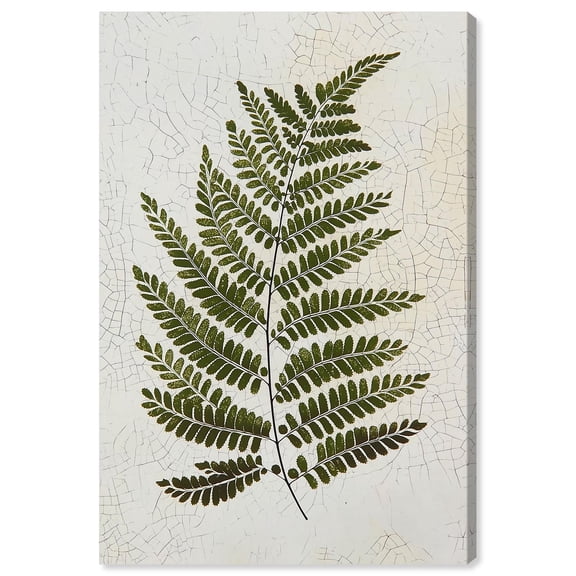 Time's Imprint II Canvas Print Botanical Wall Decor by Art Remedy, Gallery Wrapped, 30 x 45