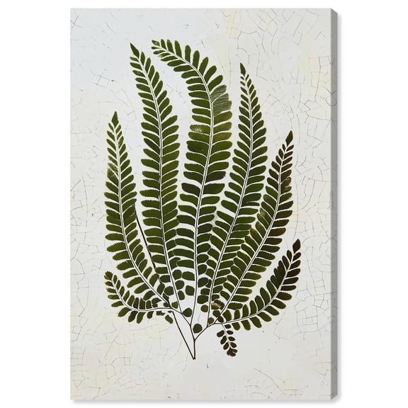 Time's Imprint III Canvas Print Botanical Wall Decor by Art Remedy, Gallery Wrapped, 16 x 24