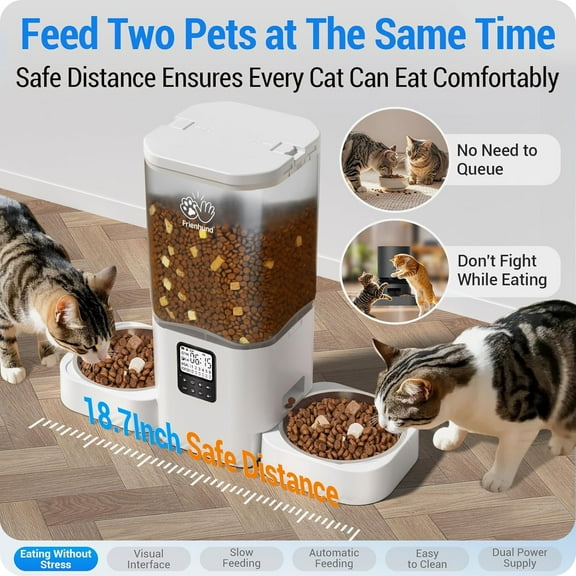 Timed Automatic Feeder 2 Cats with Slow Feed: Dual Automatic Dog Feeder with Information Visualization, Programmable Food Dispenser for Multiple Pets, Detachable for Easy Clean - 29 Cup