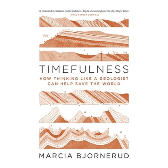 Pre-Owned Timefulness: How Thinking Like a Geologist Can Help Save the World (Paperback 9780691202631) by Marcia Bjornerud