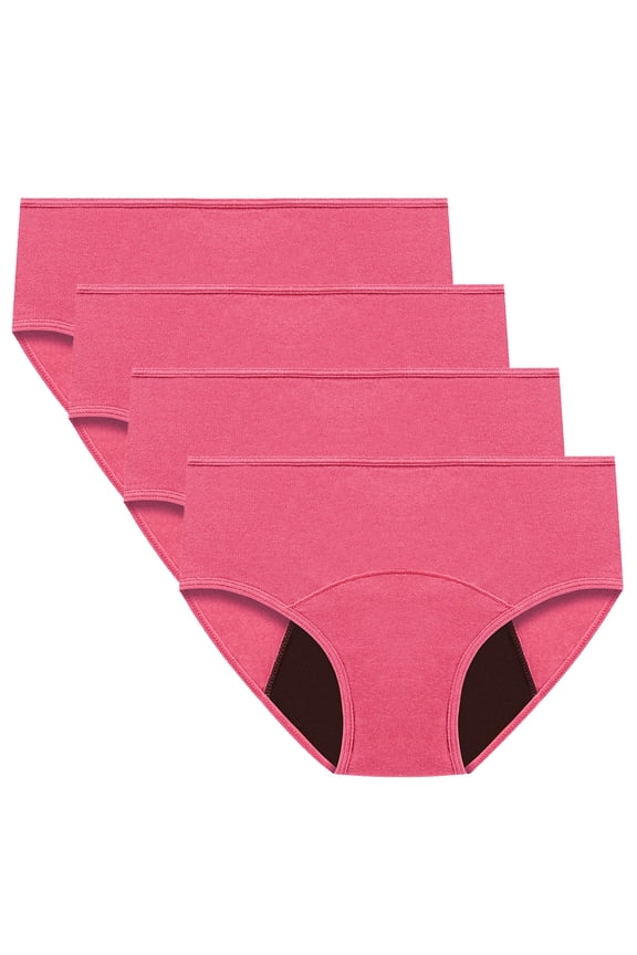 4pc Period Panties for Women Low Waist Breathable Leakproof Underwear Comfort Menstrual Briefs