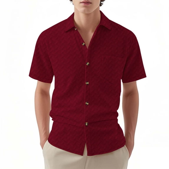 Timegard Button down Shirts for Men Lapel Neck Short Sleeve Casual Work Solid Color Comfy Shirts Tops