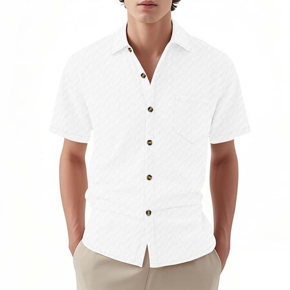 Timegard Button down Shirts for Men Lapel Neck Short Sleeve Casual Work Solid Color Comfy Shirts Tops