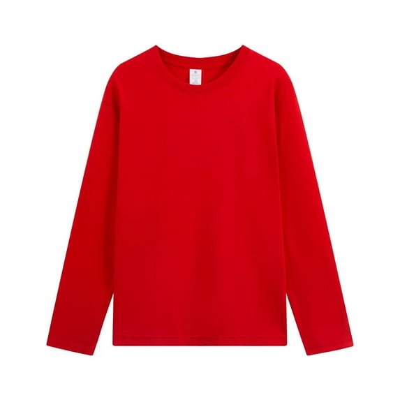 Timegard Fall Tops for Men Crewneck Long Sleeve Comfy Loose Solid Color Basic Tee Casual Pullover Tops