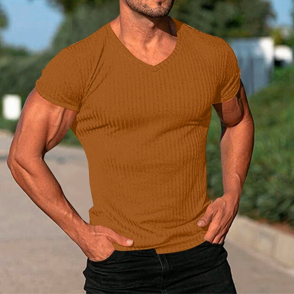 Timegard Mens Shirts Short Sleeve Slim V Neck Drop Shoulder Tee Shirts Casual Solid Color Summer Tops