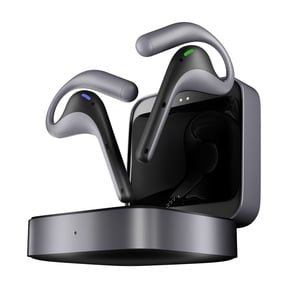 Timekettle W4 Pro AI Interpreter Earbuds(Grey),Translator Device Supporting 40 Languages,Translator Earbuds for Call and Video Translation,APP Work with iOS and Android