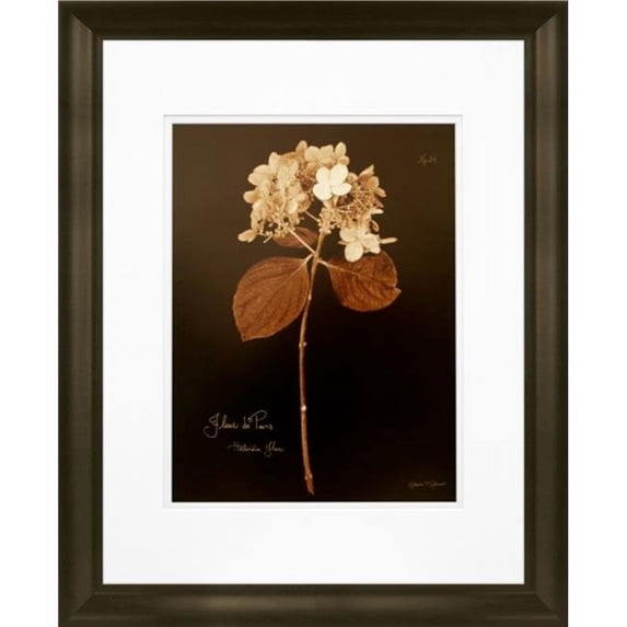 Timeless Frames 55254 16 x 20 in. Hydrangea Photo Frame