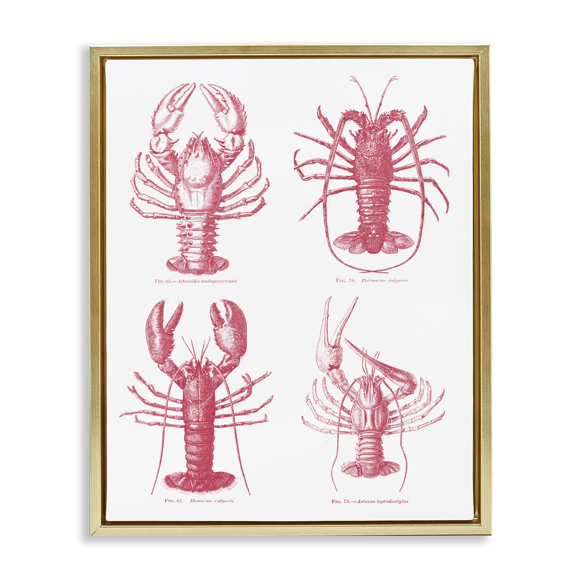 Timeless Lobsters Species Gold Framed Floater Canvas Wall Art, design by Lettered and Lined