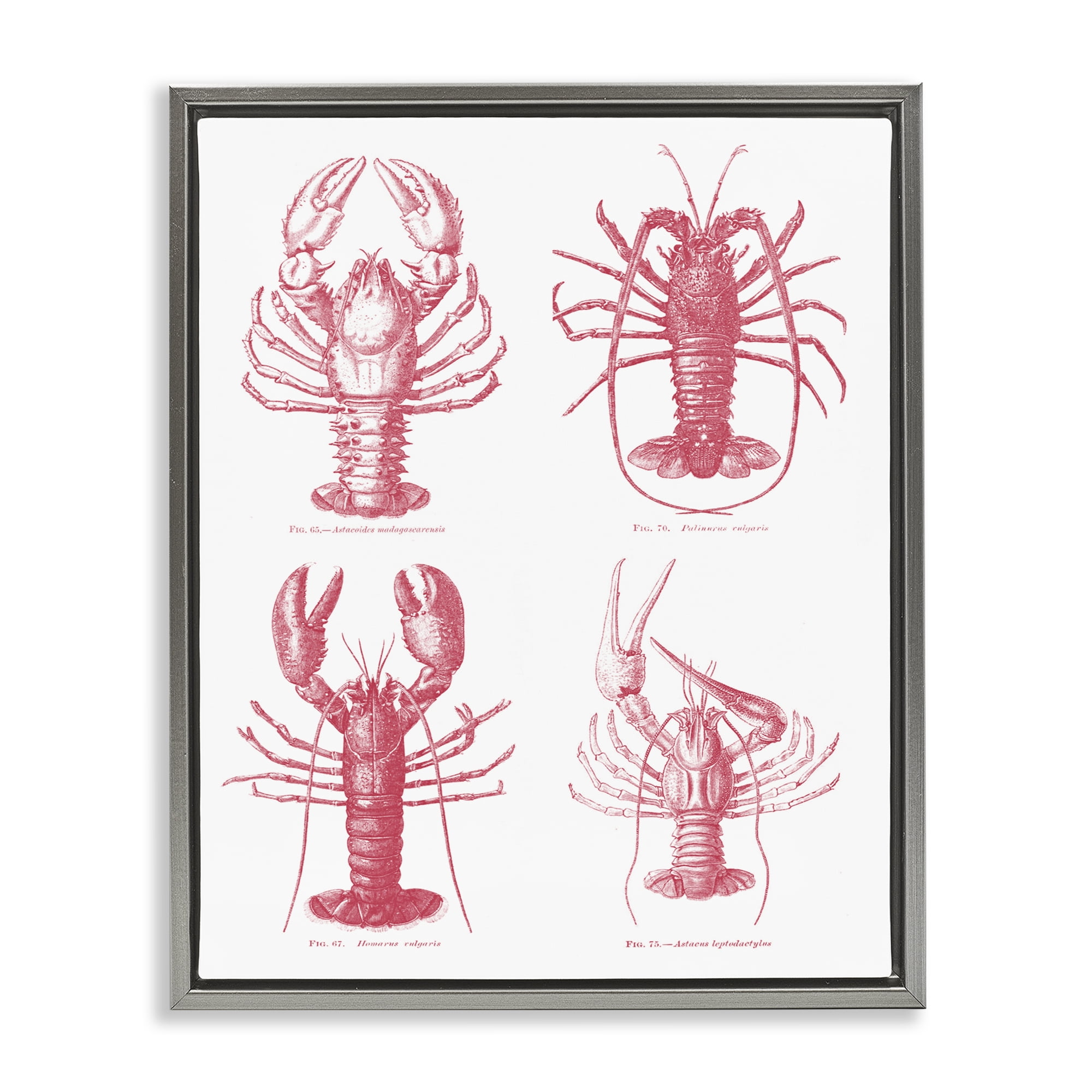 Timeless Lobsters Species Gray Framed Floater Canvas Wall Art, design by Lettered and Lined