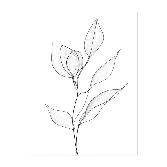 Timeless Minimalist Floral Line Drawing - Line Drawing Line Art Botanical Minimalist Black and White Flowers Nature Modern Art Unframed Wall Art Print 11 x 14 inches