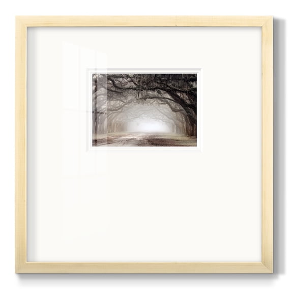 Timeless Plantation DrivePremium Framed Print