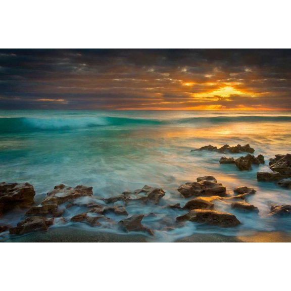 Timeless Poster Print by Patrick Zephyr (24 x 36)