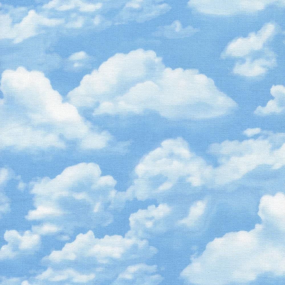 Timeless Treasures Sky Blue Cotton Quilting Fabric by the Yard