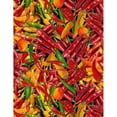 thumbnail image 1 of Timeless Treasures Fabrics Southwest Multi Packed Hot Peppers 100% Cotton Fabric sold by the yard, 1 of 1