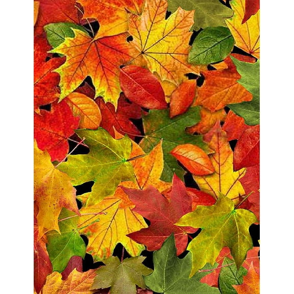 Timeless Treasures Fall Foliage Nature C8649 Autumn Large Leaves Multi 100% Cotton Fabric sold by the yard