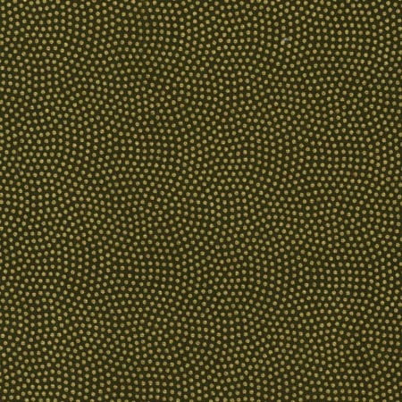 Timeless Treasures Fern Metallic Spin Dot 100% Cotton Fabric sold by the yard