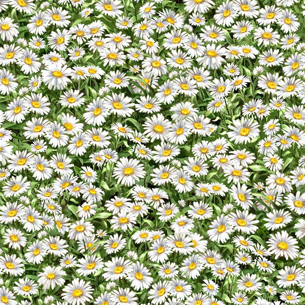 Timeless Treasures Peaceful Garden Packed Daisies Multi 100% Cotton ...
