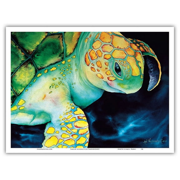 Timeless Wisdom - Hawaiian Green Sea Turtle (Honu) - From an Original Color Painting by Ari Vanderschoot - Master Art Print (Unframed) 9in x 12in