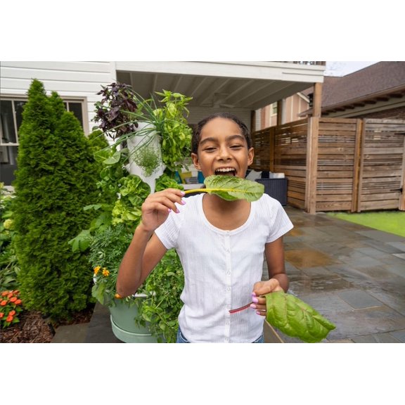 Timer for Home and Flex Growing Systems forAeroponic Growing Systems Specifically$$Garden &