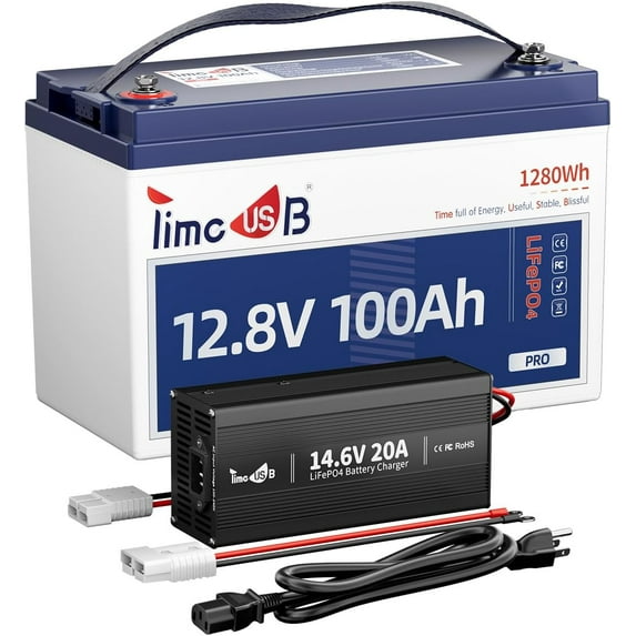 Timeusb 12V 100Ah Pro LiFePO4 Battery with 14.6V 20A LiFePO4 Battery Charger, Built-in 100A BMS, 5 Hours Fast and Fully Charging, Perfect for RVs, Solar Home System, and Off-Grid Applications