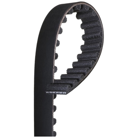 Timing Belt (PARITY)