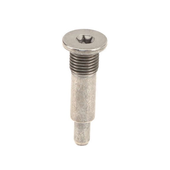 Timing Rail Bolt - Compatible with 2007 - 2015 Mini Cooper 2008 2009 2010 2011 2012 2013 2014