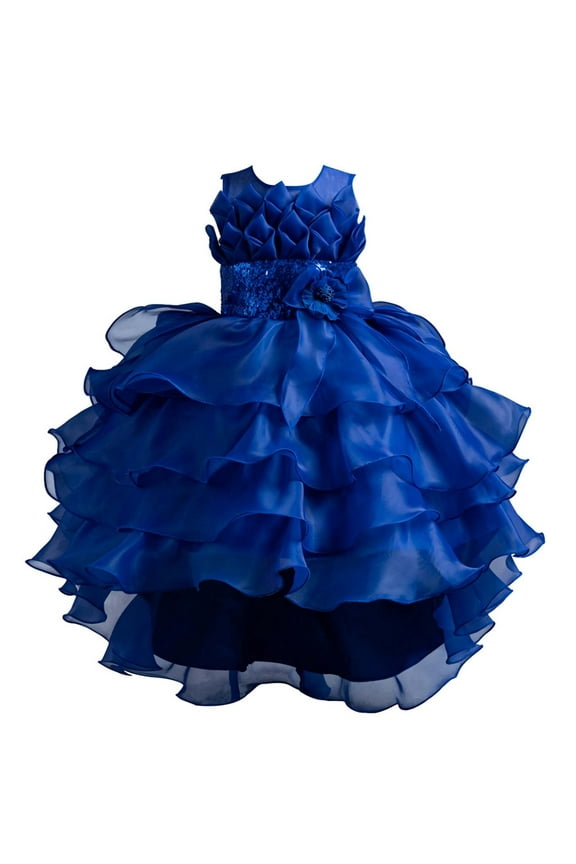 Girl Sleeveless Embroidery Princess Pageant Dresses Kids Prom Ball Gown Cocktail Tiered Swing Wedding Party Bridesmaid Pageant Communion Formal Gown Blue 140 US(140)