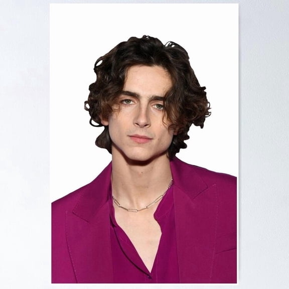 Timothã E Chalamet Poster , Poster Print Only