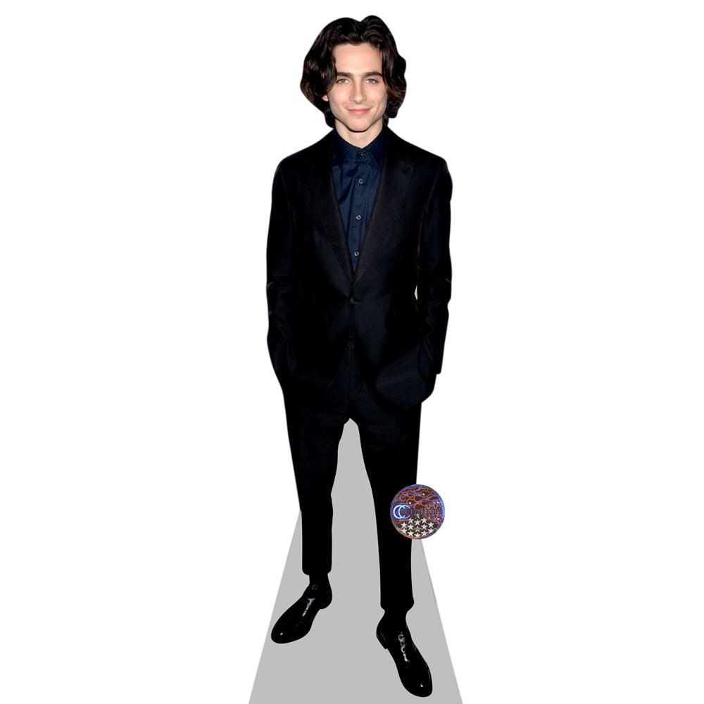 Timothee Chalamet Mini Cardboard Cutout Standee