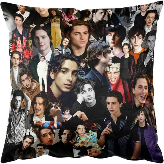 Timothee Chalamet Photo Collage Square Throw Pillow Case Cushion Cover Pillowcase 18'''' x 18'''' (45cm x 45cm)