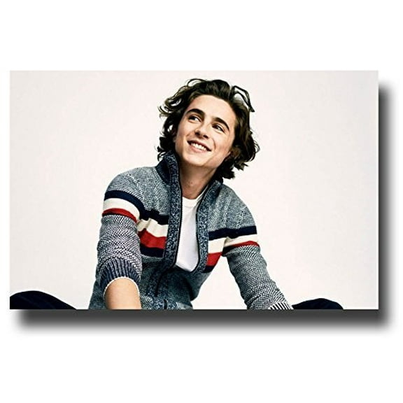 Timothee Chalamet Poster Promo Shot