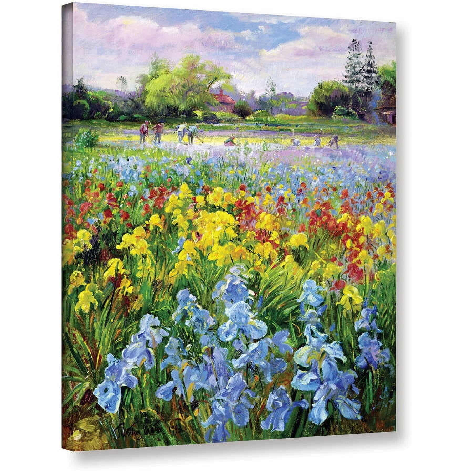 Timothy Easton "Hoeing Team And Iris Fields" Gallery-Wrapped Canvas Wall Art