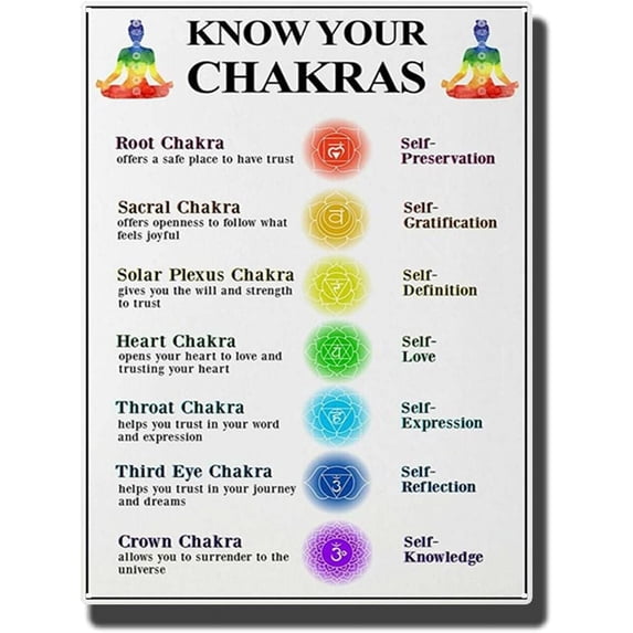 Tin Metal Signs Gemstones and Their Meanings Flyer Poster Chakra Healing 12X16 inch-Tin Painting
