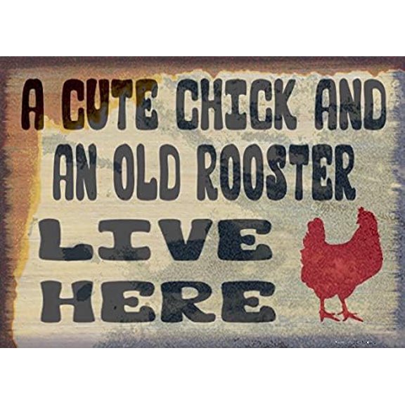 Tin Poster Metal Sign A Cute Chick & an Old Rooster Live Here Rustic Primitive 12"x8" Wall Plaque Retro Signs