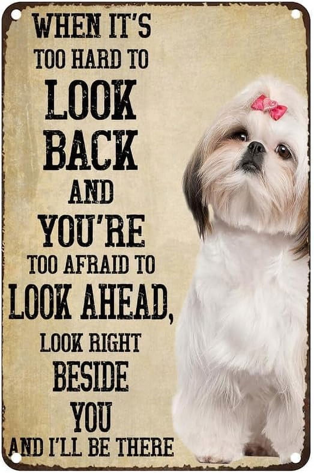 Tin Sign 12x16 Inch Shih Tzu When It's Too Hard To Look Back Metal ...