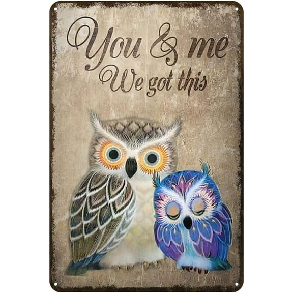 Tin Sign 5.5x8 Inch Metal Decor For Outside Wall You And Me We Got This Owl Funny Owl Tin Sign Chic Art Wall Metal Decorations Funny Iron Plaque Signs Gift For Living Room Office