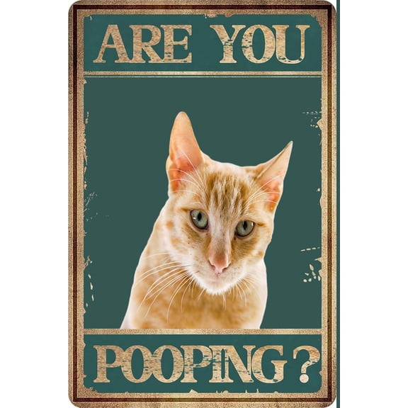 Tin Sign 8x12 Inch Funny Cat Bathroom Decor - Cat Lovers Bathroom Wall Art - Bath Wall Decor - Bathroom Decor For Men Women - Cat Gifts - Small Bathroom Decor - Restroom Sign Powder Room Picture