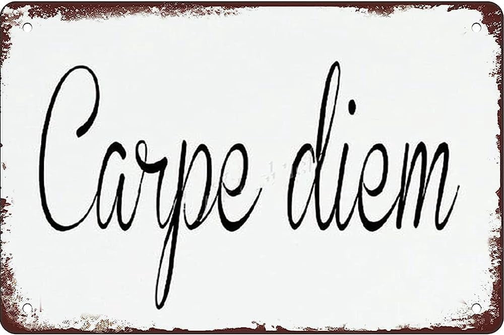 Tin Sign 8x5.5 Inch Carpe Diem Funny Metal Sign Retro Wall Art ...