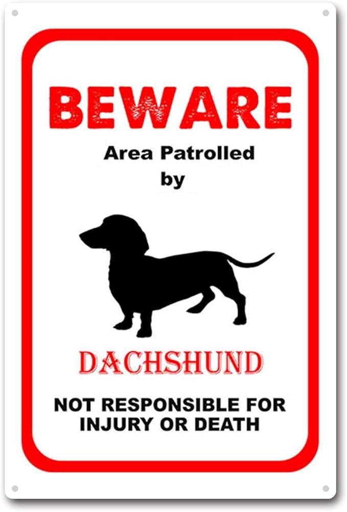 Tin Sign Beware Area Patrolled by Dachshund Dog Notice Safety Metal Tin Tin Sign Beware Area Patrolled by Dachshund Dog Notice Safety Metal Tin