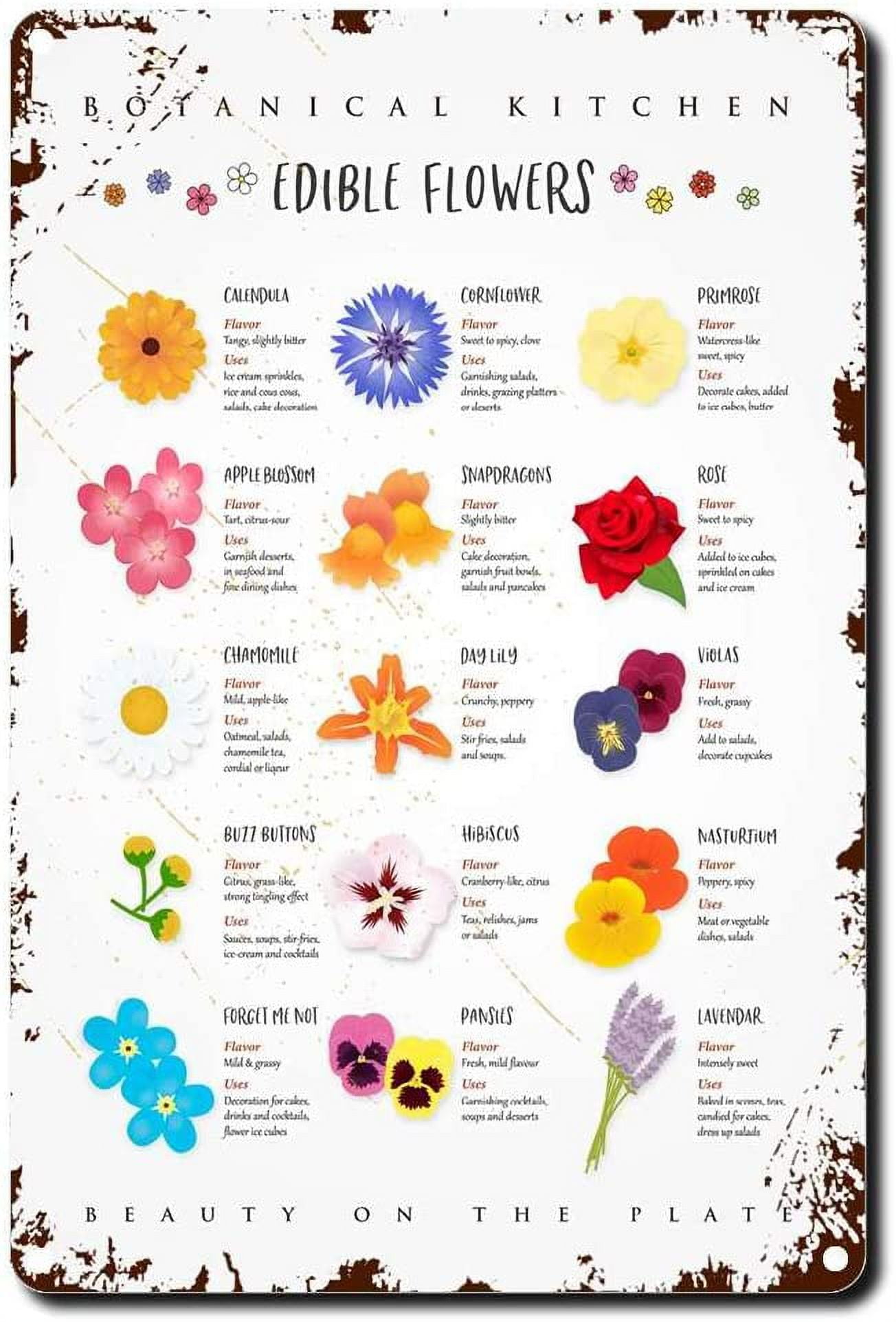 Tin Sign Edible Flowers Wall Art Botanical Kitchen Decor Shipped Metal ...
