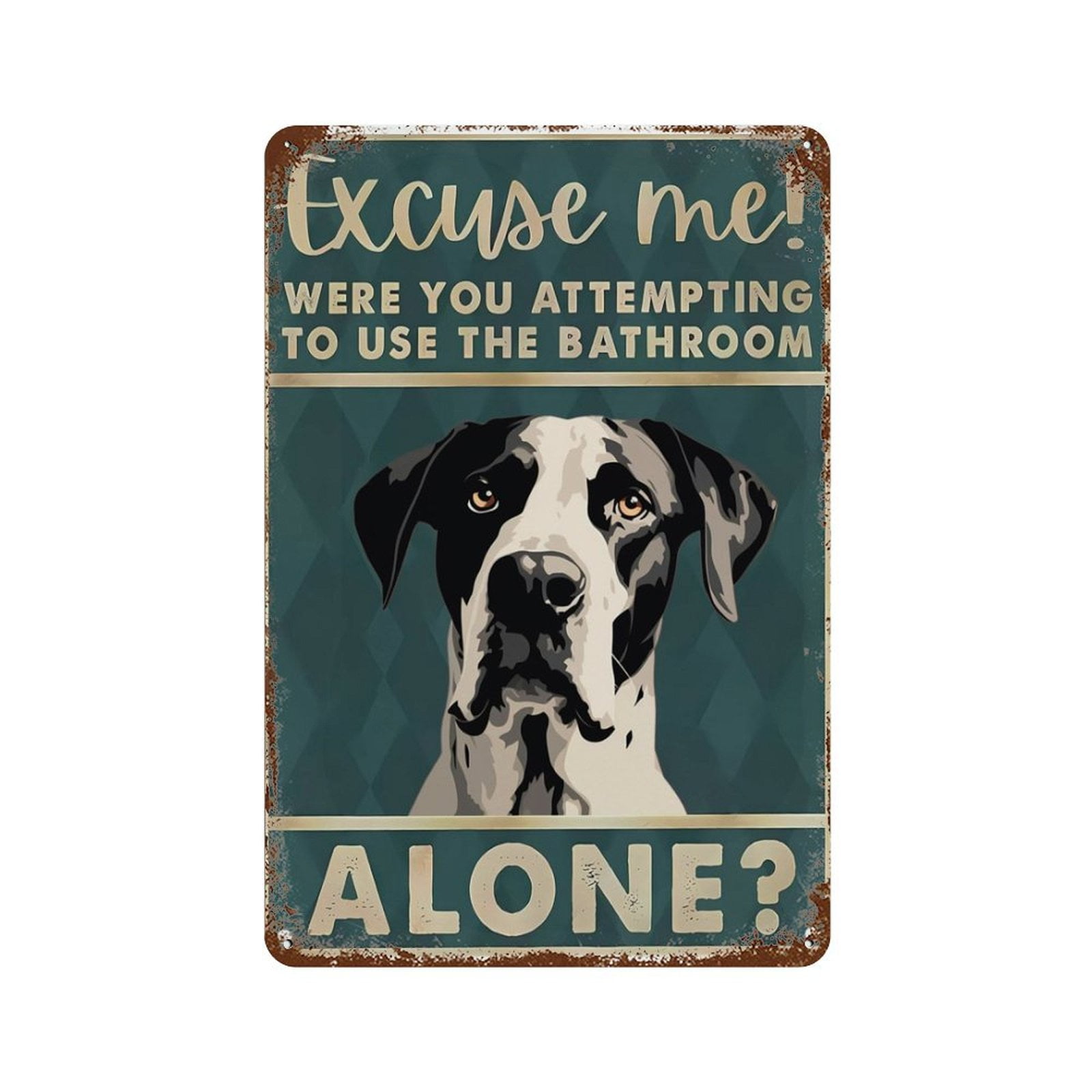 AzureRay Logo del gatto nero 30x20 cm, Decorazione da parete per bagno con gatto nero, decorazioni bagno divertenti, cartello WC ospiti in metallo