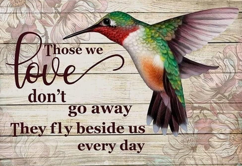 Tin Sign Metal Signs Those We Love Dont Go Away They Fly Beside Us Everyday Hummingbirds Signs ...