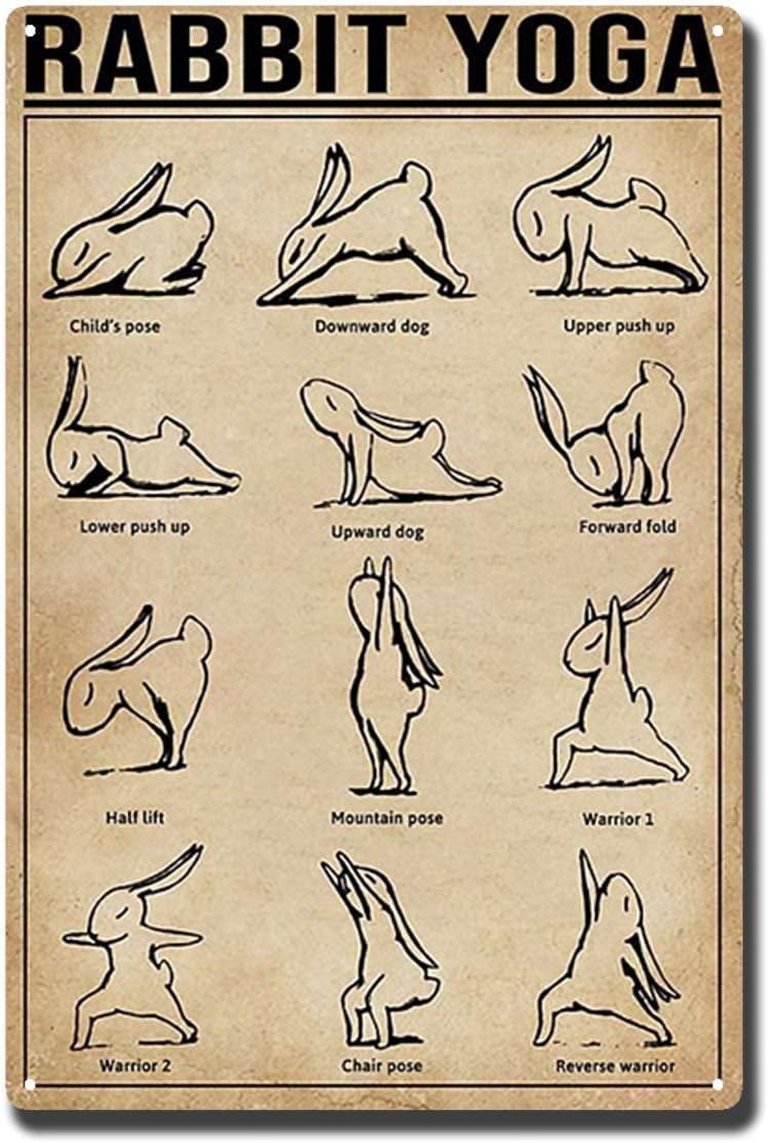 Tin Sign Rabbit Poster Knowledge Poster Meditation 8X12 inch-Tin ...