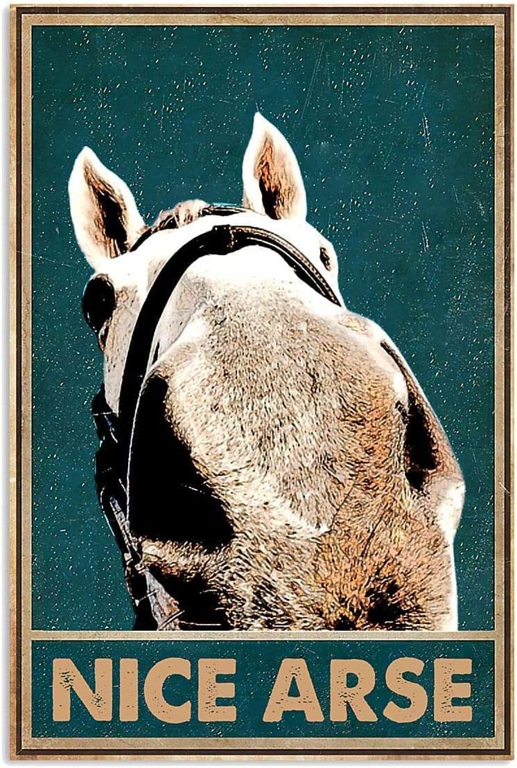 Tin Sign Vintage Horse Nice Arse Metal Sign Vintage Home Decor Rustic