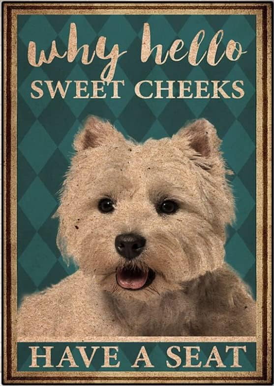 Retro Funny Why Hello Sweet Cheeks Have A Seat Cat Metal Tin Signs - For Farmhouse Home Bathroom Garage Cafe Office Kitchen Restaurant Man Cave