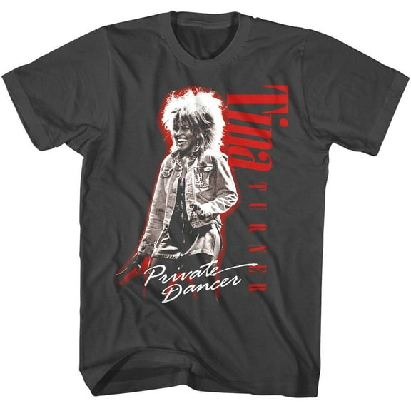 Tina Turner Private Dancer Live Men's T Shirt (Charcoal, AdultXL)